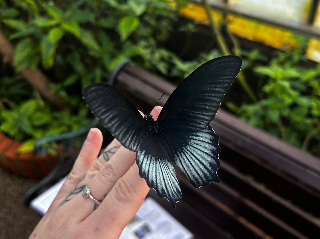 Wye Valley Butterfly Zoo-瓦伊河畔罗斯必去景点