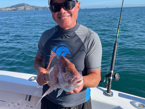 Target Fishing Charters-派希亚必去景点