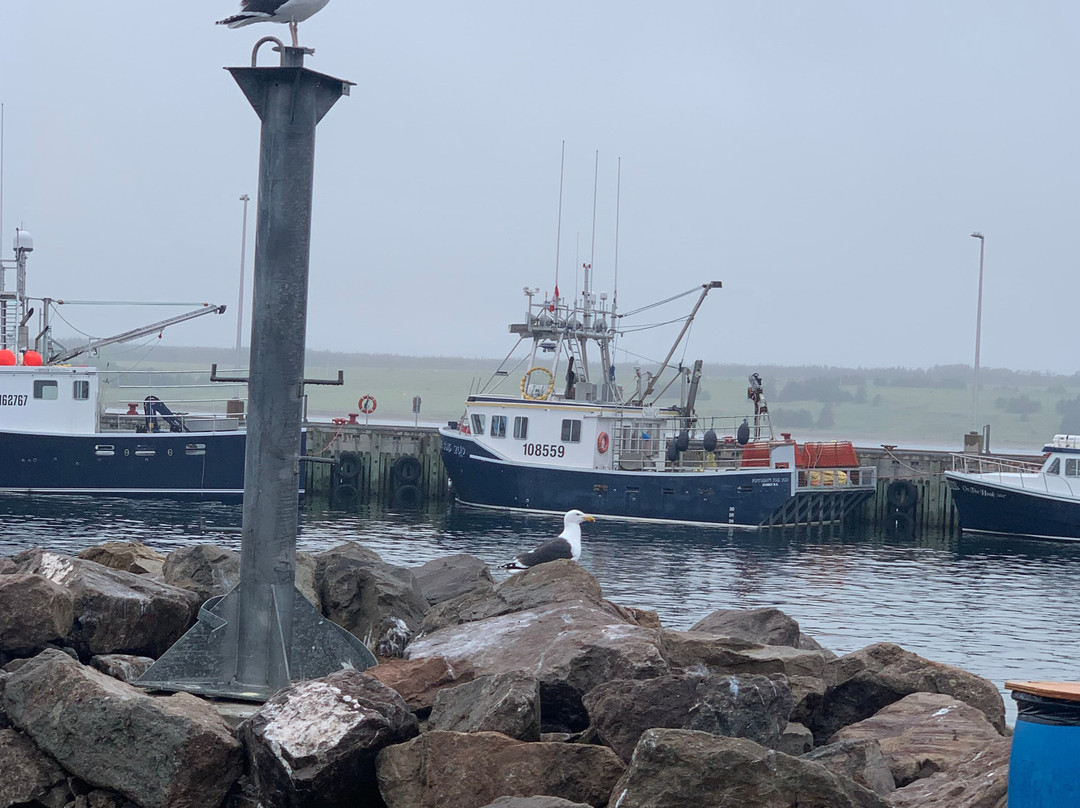 La Digue Suites主图