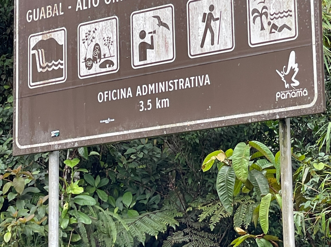 Coffee Mountain Inn主图