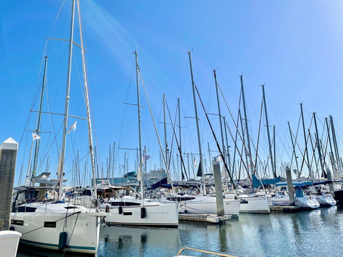 Intelligent Sailing-圣彼德斯堡必去景点