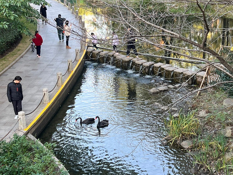 徐家汇公园-上海市必去景点