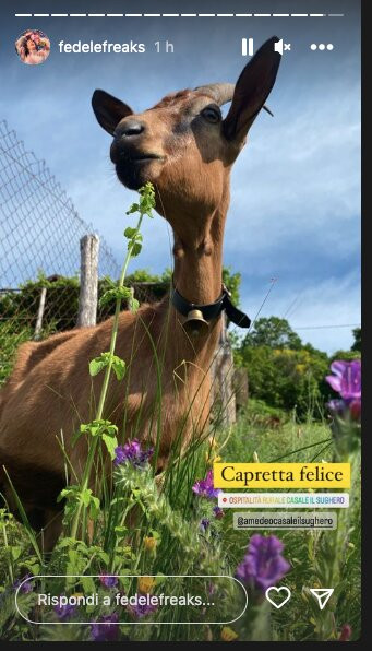 Casale Il Sughero Ospitalità Rurale主图