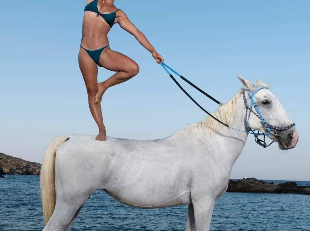 Mykonos Horseland-米科诺斯必去景点