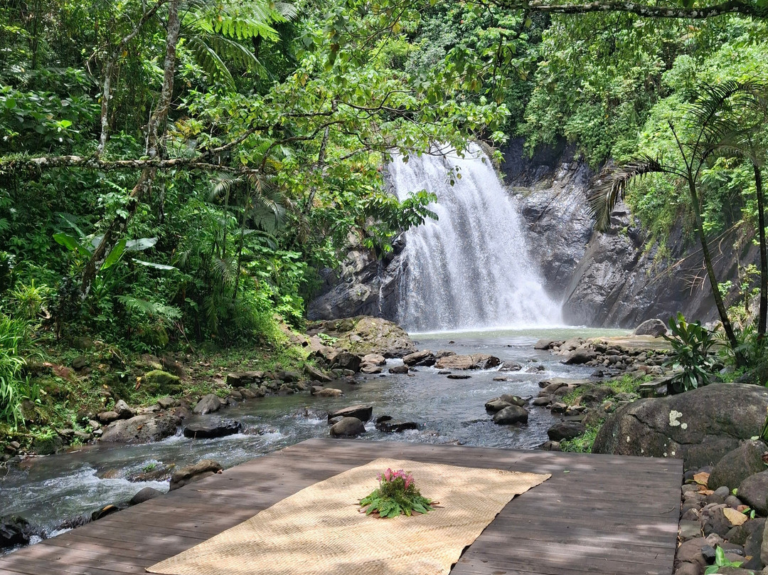 Vuadomo Waterfall - Muanivatu Trails-萨武萨武必去景点