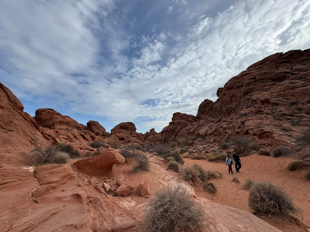 Mouse's Tank-欧弗顿必去景点