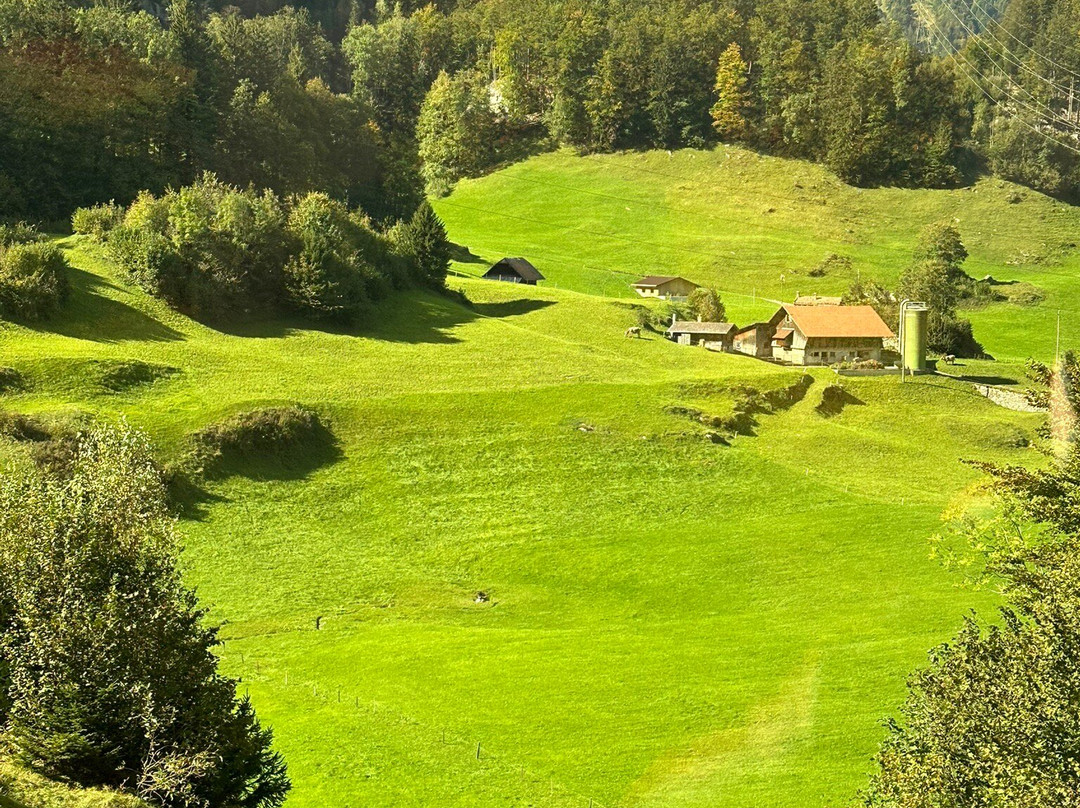 Brünig Pass-龙疆必去景点