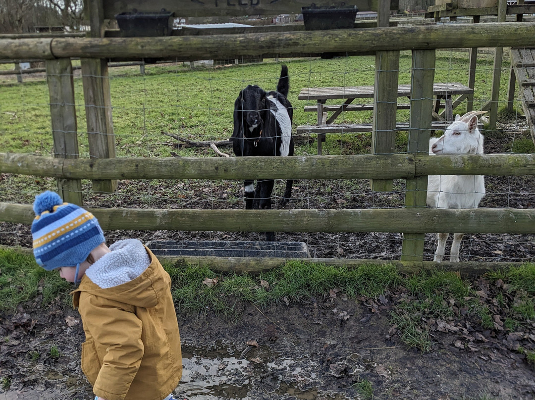 Blackberry Farm Park景点图片