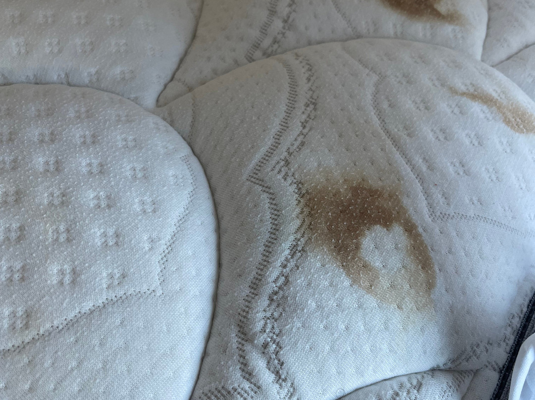 Country Inn & Suites by Radisson, Asheville West, NC主图