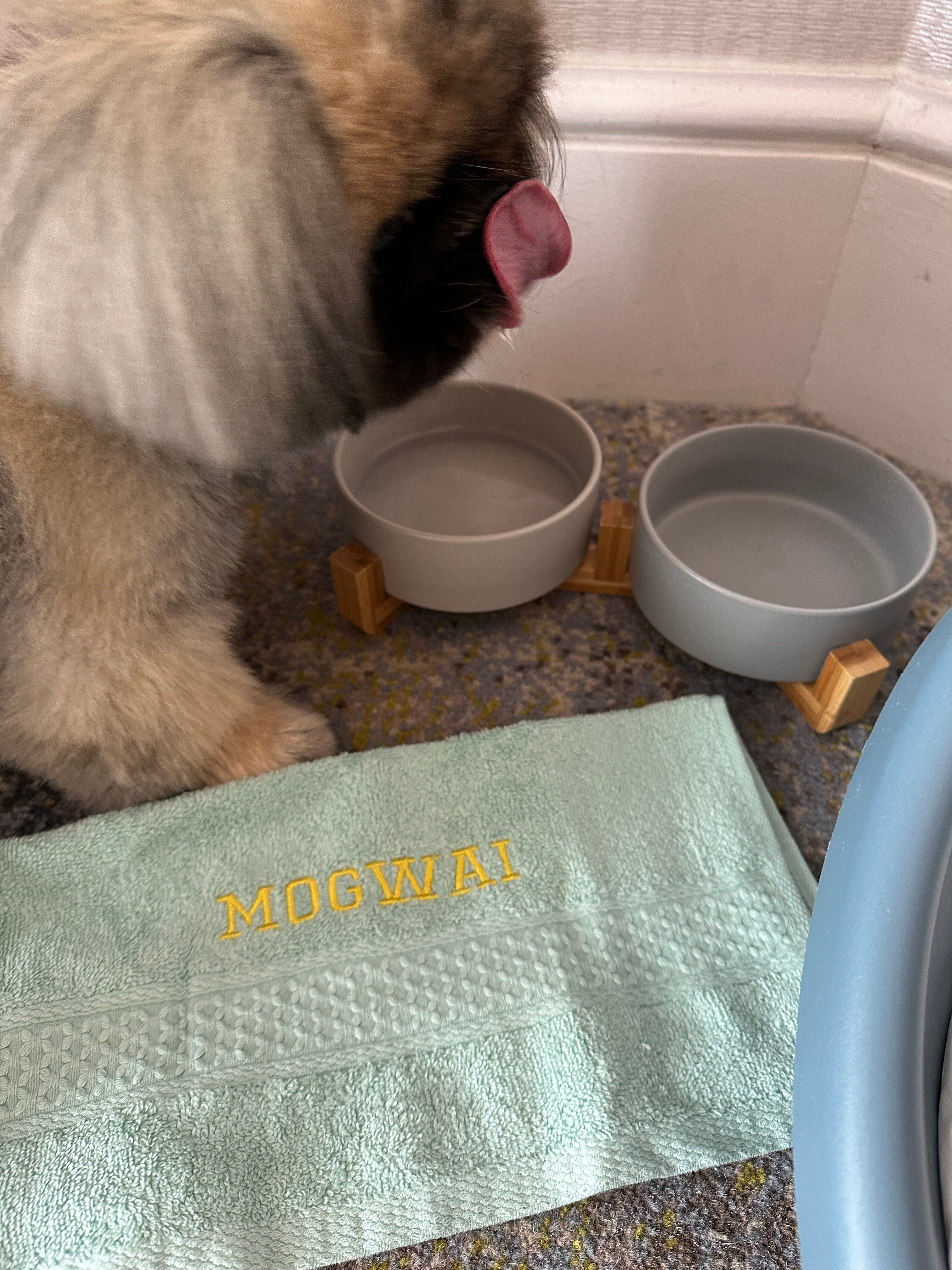 新加坡四季酒店-客卧