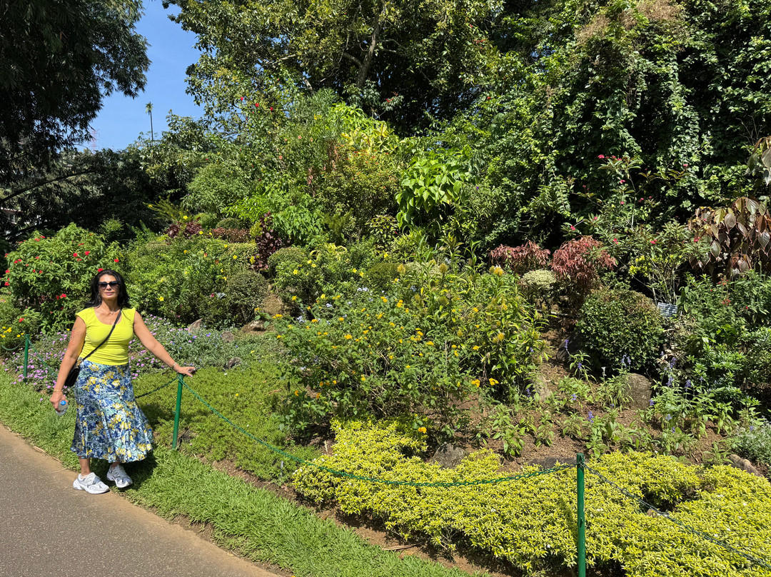 My Driver in Sri Lanka - Day Tours景点图片