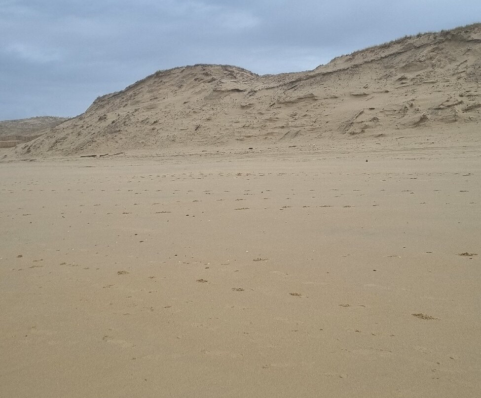 Plage Truc Vert-莱格卡弗尔雷必去景点