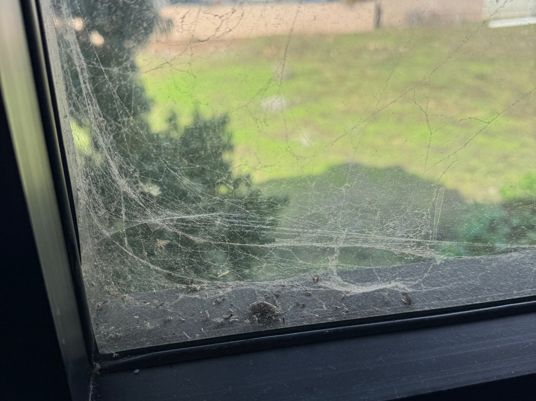 Courtyard by Marriott San Diego Del Mar/Solana Beach主图