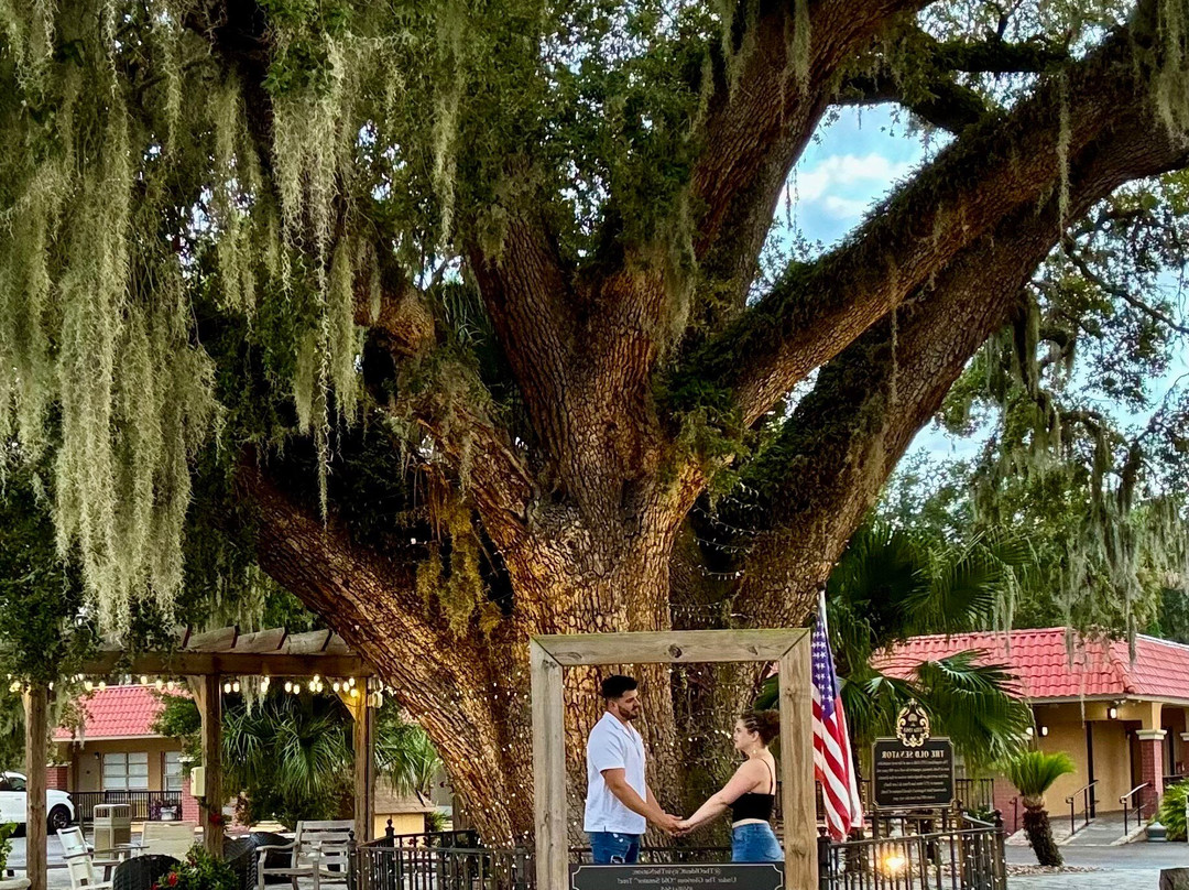 Villa 1565 Hotel主图