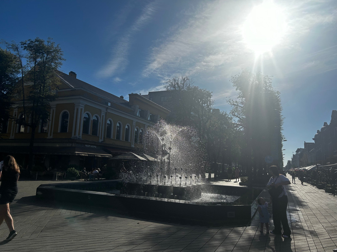 Kaunas Old Town-考那斯必去景点