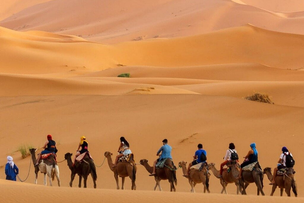 Desert Discovery Tours