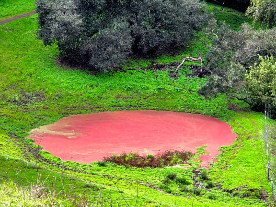Vargas Plateau Regional Park-费利蒙必去景点