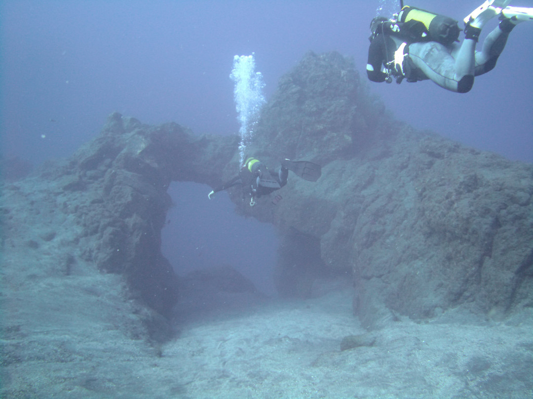 Punkfish Diving La Palma景点图片