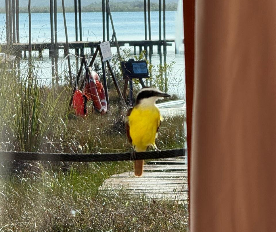 Our Habitas Bacalar主图