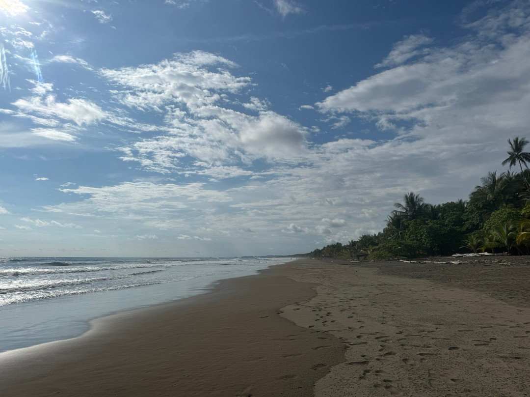 Playa Matapalo景点图片