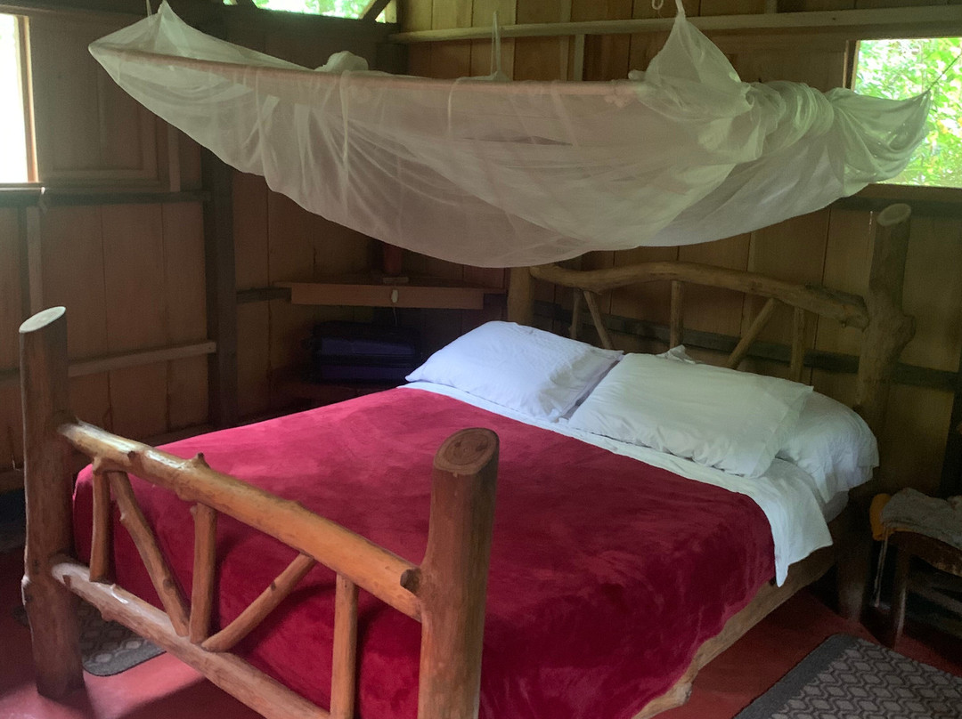 La Carolina Lodge主图