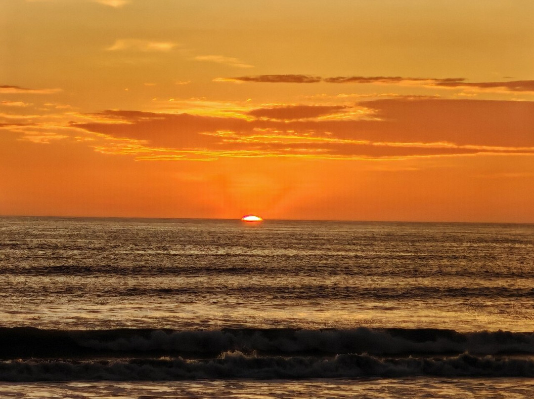 Hotel Las Palmeras主图