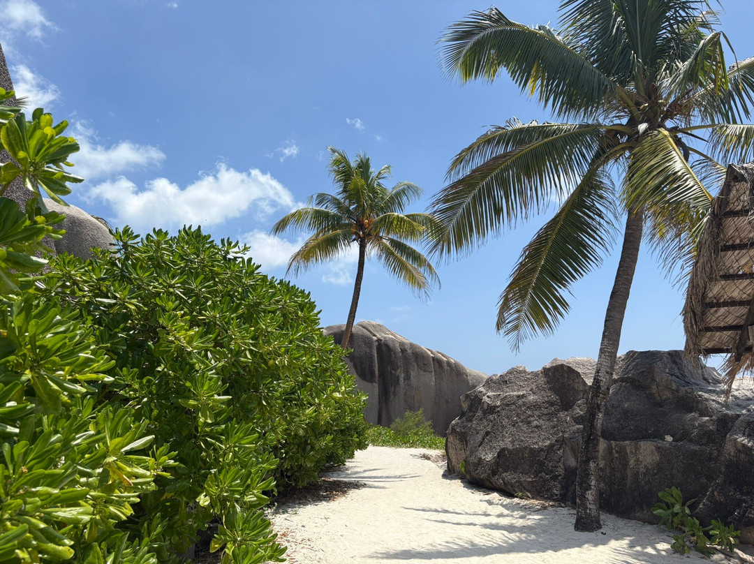 Seychelles Taxi Touring景点图片