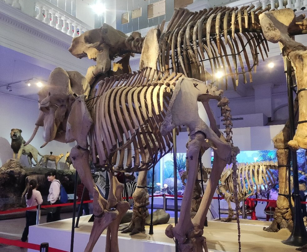 Grigore Antipa National Museum of Natural History-布加勒斯特必去景点