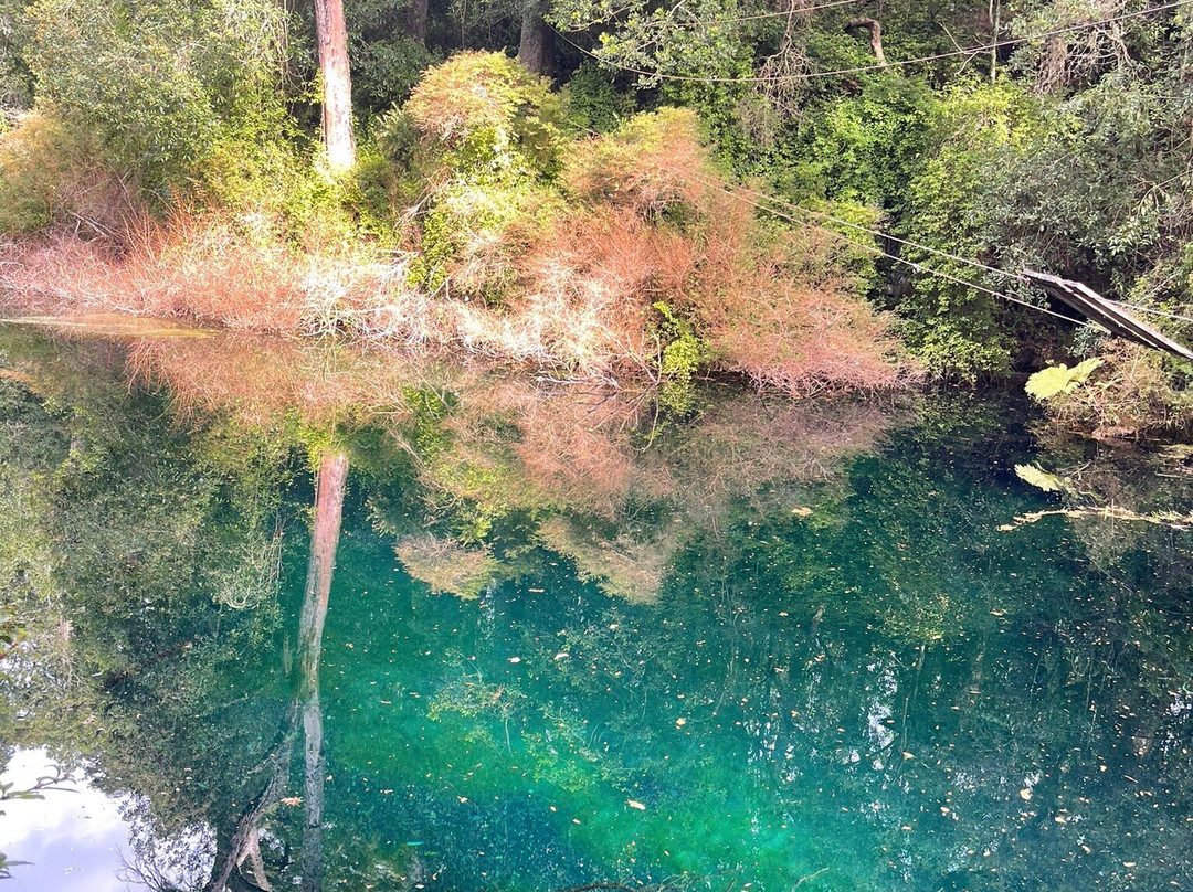 Canopy Chile-巴拉斯港必去景点