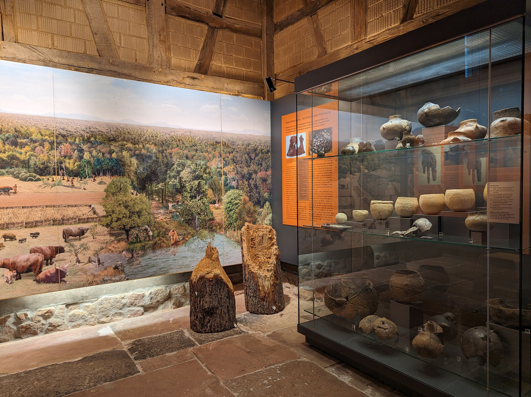 Museum Herxheim景点图片