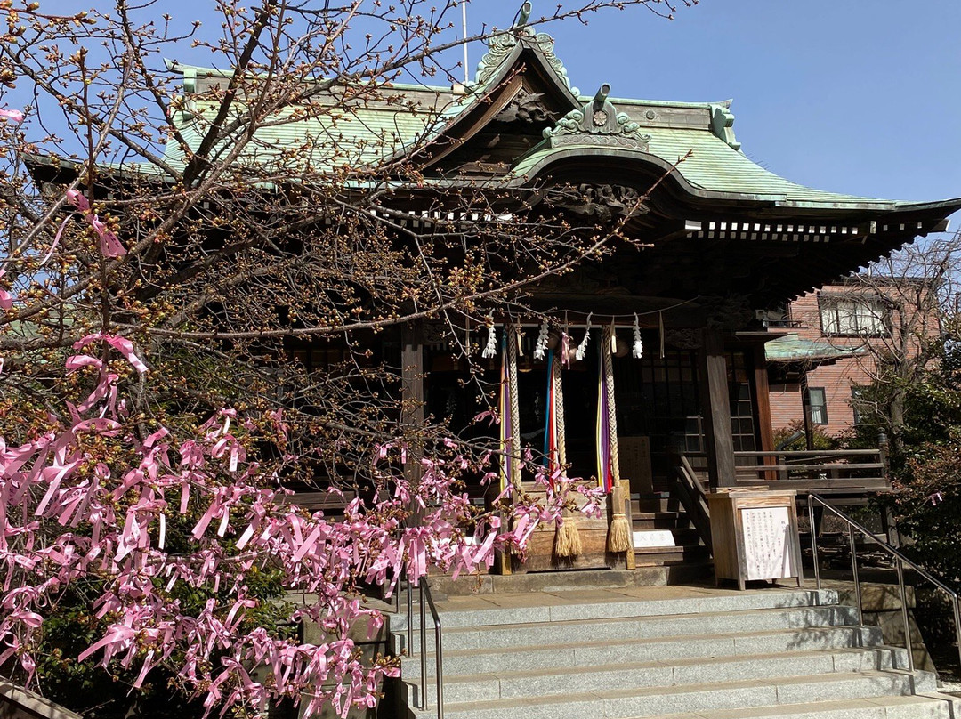 Sakura Shrine景点图片