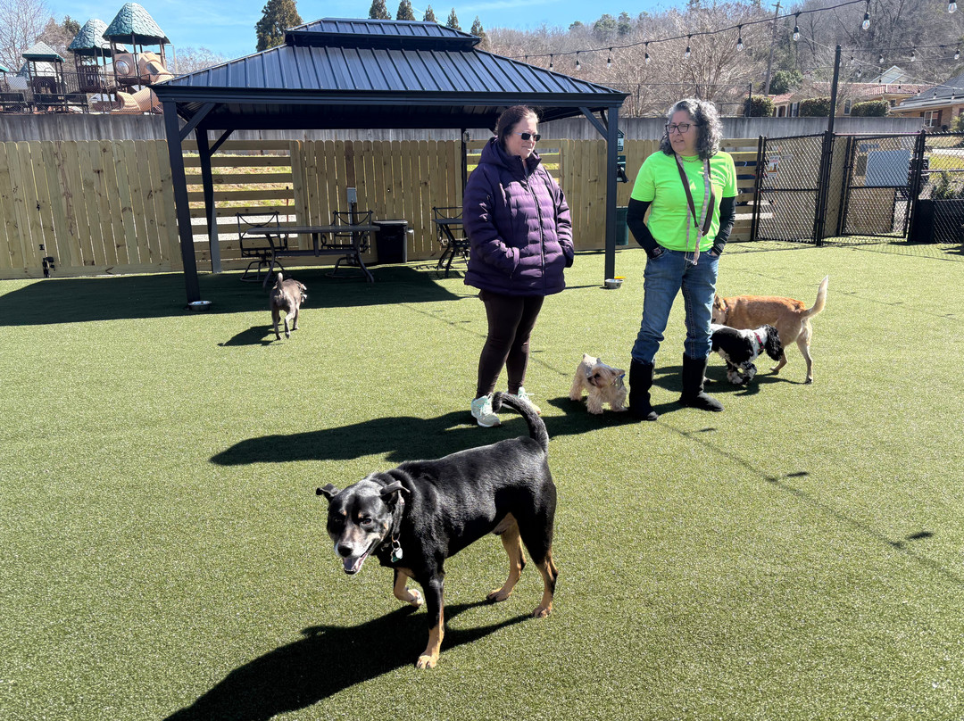 Manchester Dog Park & Social Club