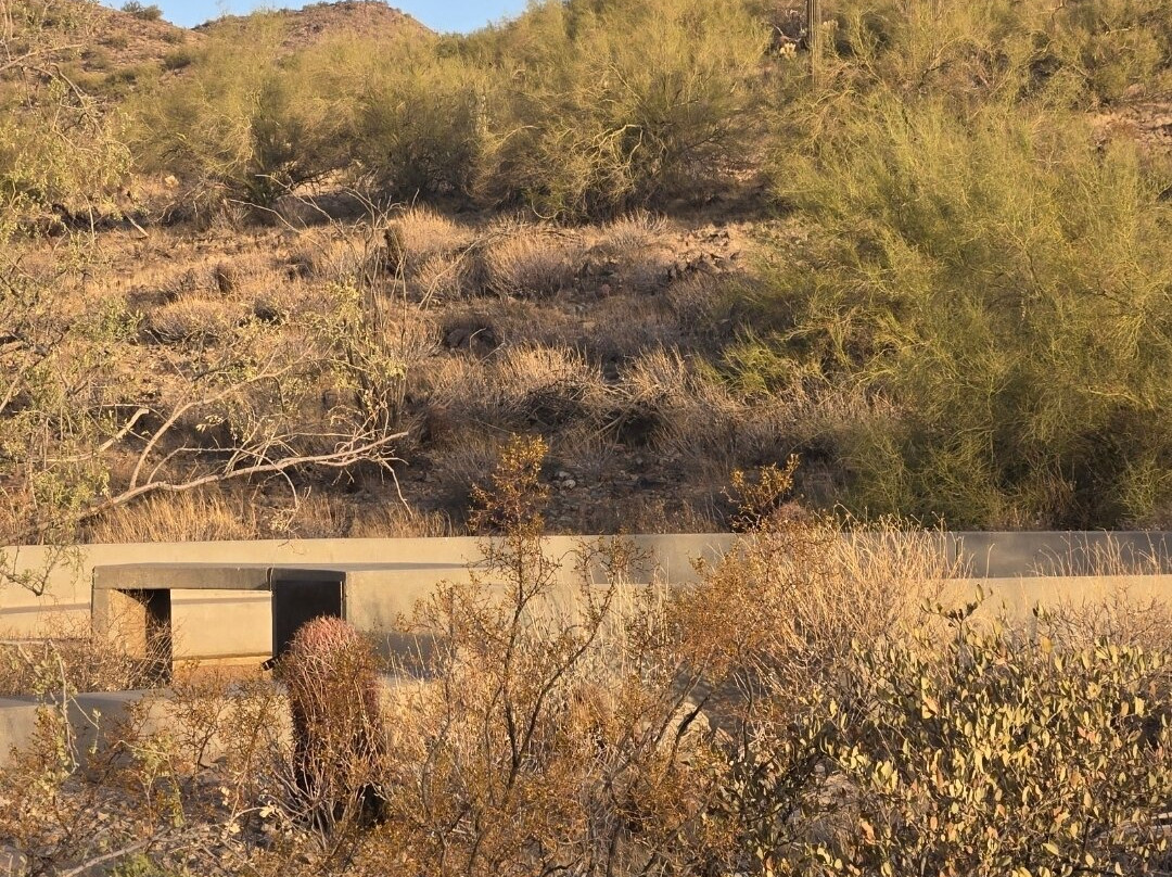 Lost Dog Wash Trail-斯科茨代尔必去景点