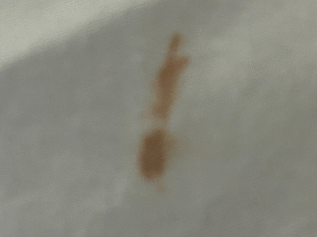 Blossom Hotel & Suites Traverse City主图