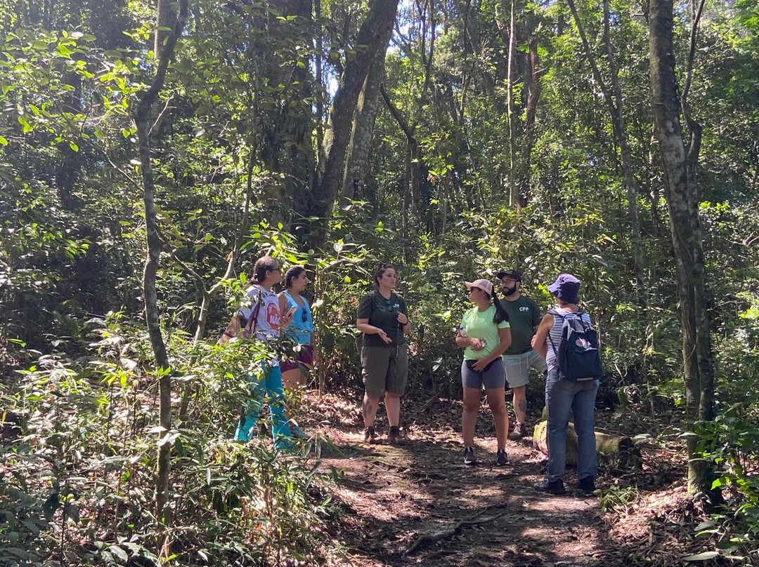 Parque Jequitibá-Cotia必去景点