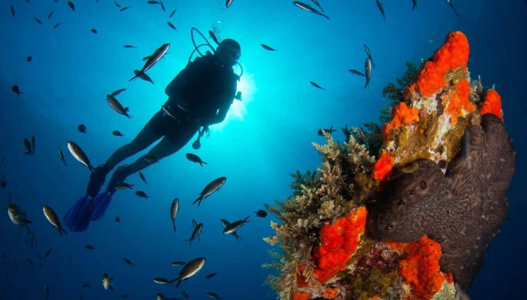Triton Scuba Diving Centre Halkidiki景点图片