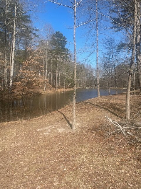 Pleasanton Courtyard Bed and Breakfast主图
