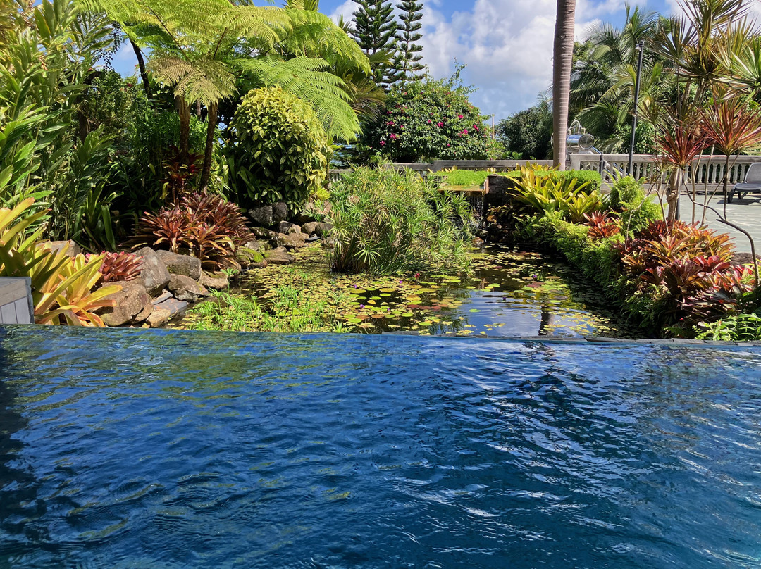 EL Yunque Rainforest Inn主图