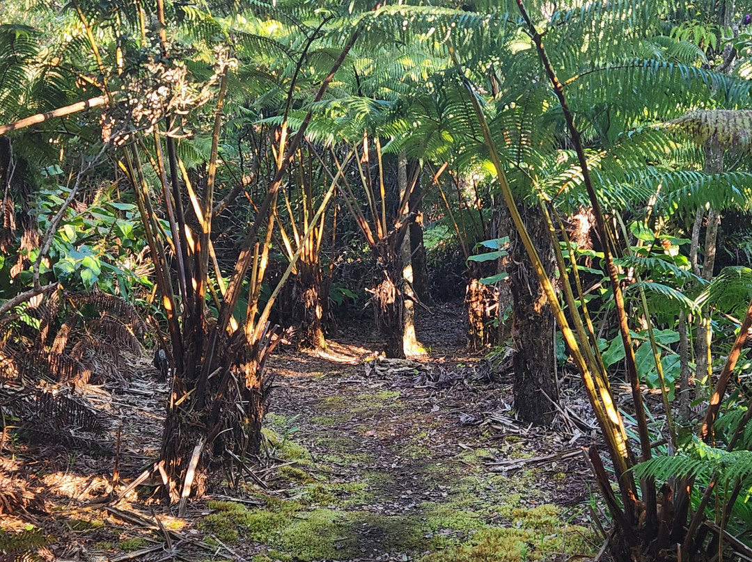 基劳耶旅馆及餐厅主图