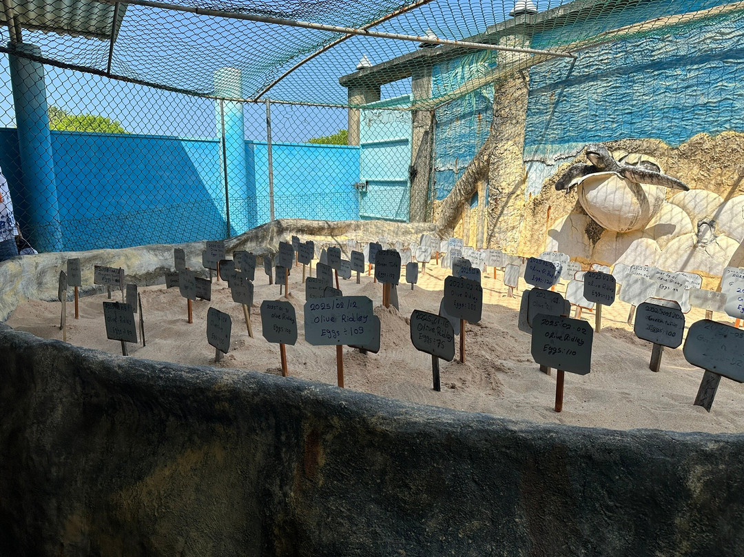 KOSGODA Turtle Conservation and Research Centre景点图片