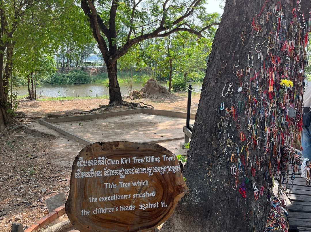 The Killing field and Toul Sleng genocide museum S21 Tour-金边必去景点