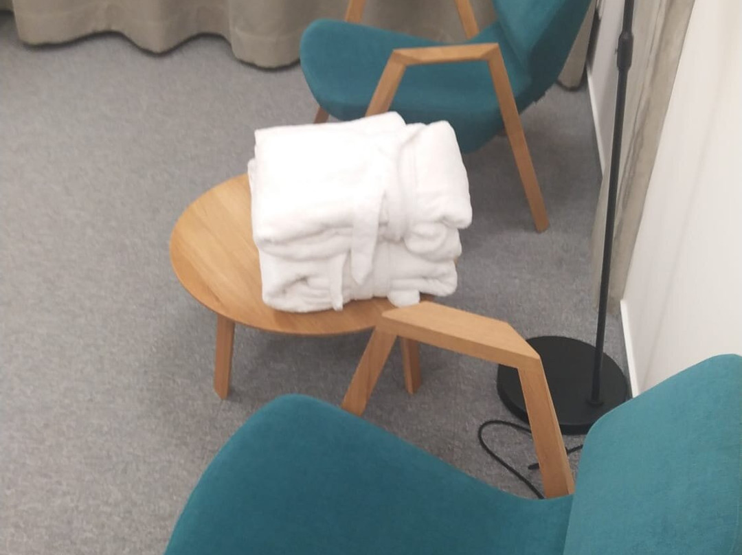 Hotel Smetanova主图