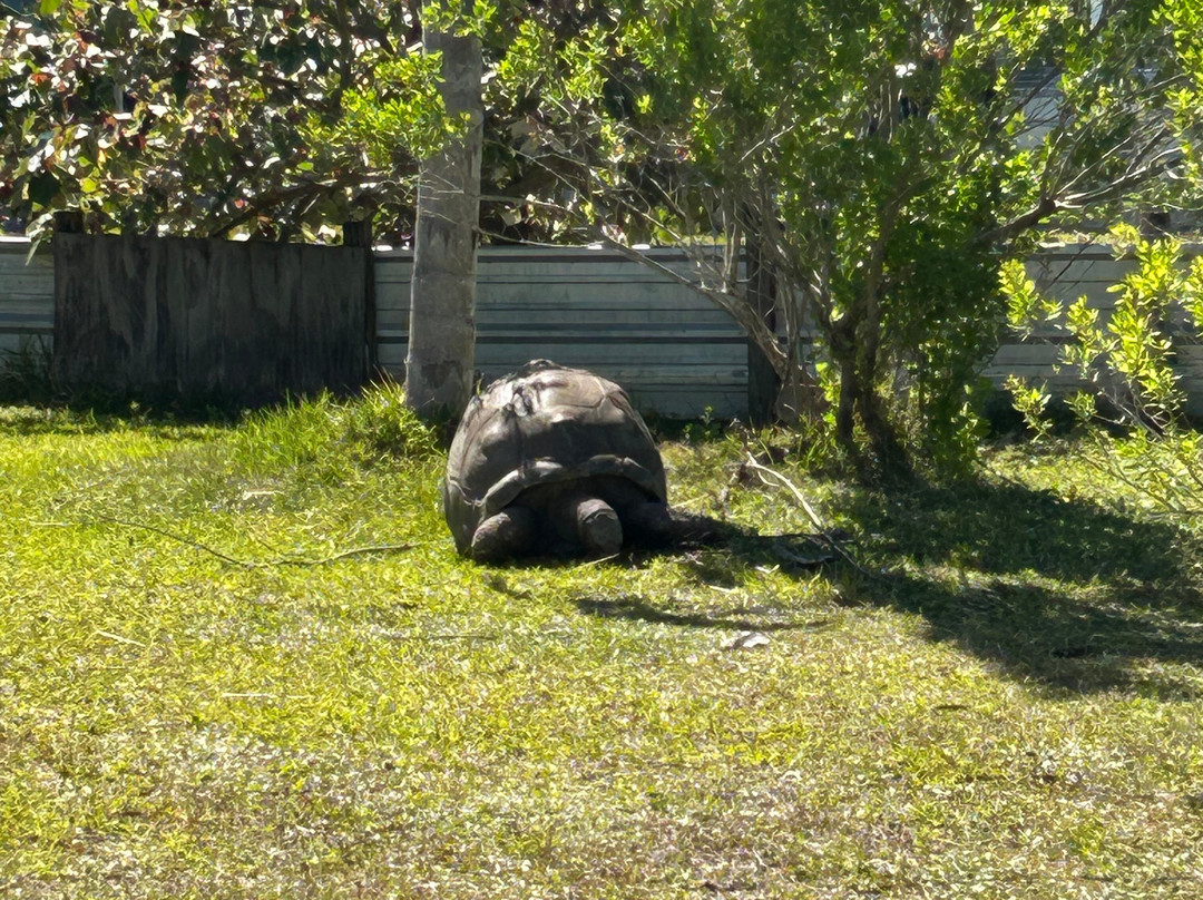 Iguanaland-蓬塔戈尔达必去景点