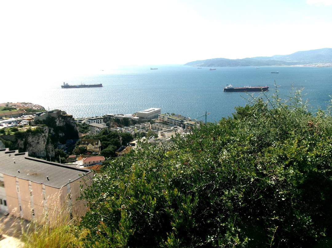 Rocky Monkey Gibraltar Tours-Gibraltar Town必去景点