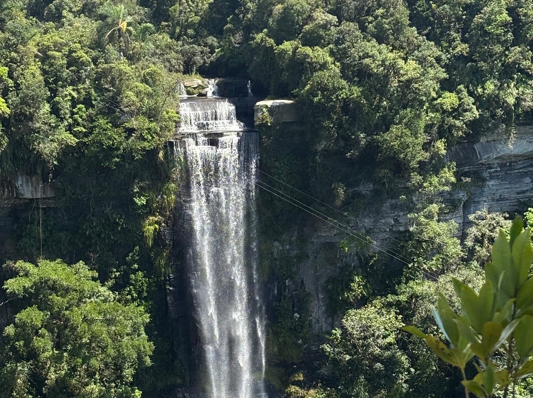 Cachoeira Salto do Zinco-Benedito Novo必去景点