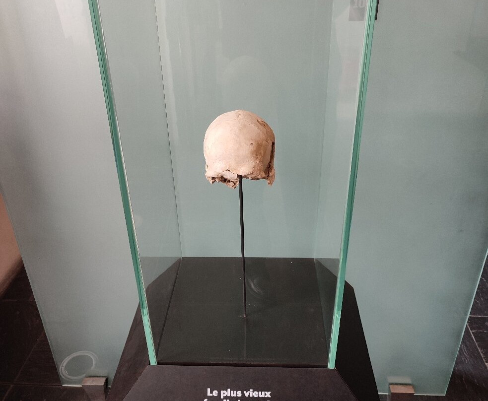 Musee de l'Ancien Eveche-格勒诺布尔必去景点