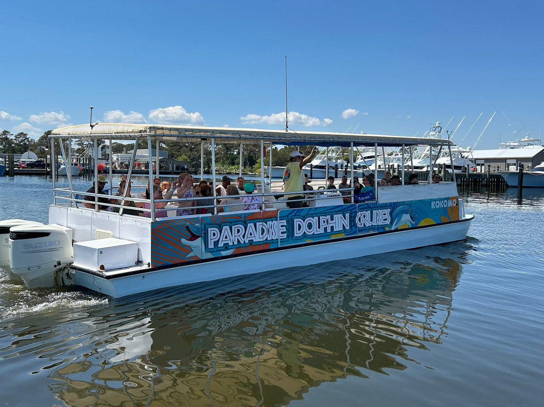 Paradise Dolphin Cruises景点图片