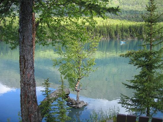 The Stevenson Retreat-泳池