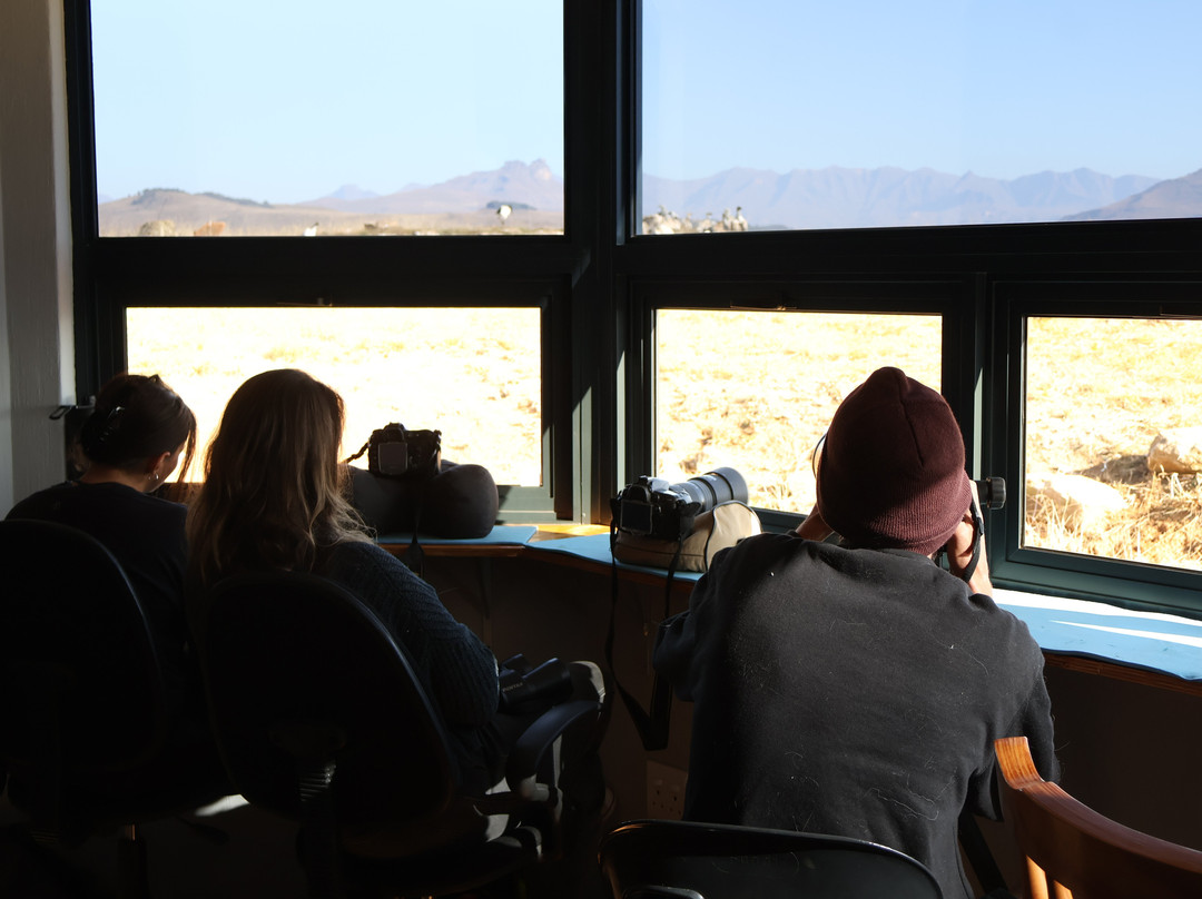 Mzimkulu Vulture Hide-安德堡必去景点