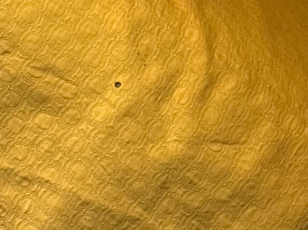 Super 8 by Wyndham Jacksonville AR主图